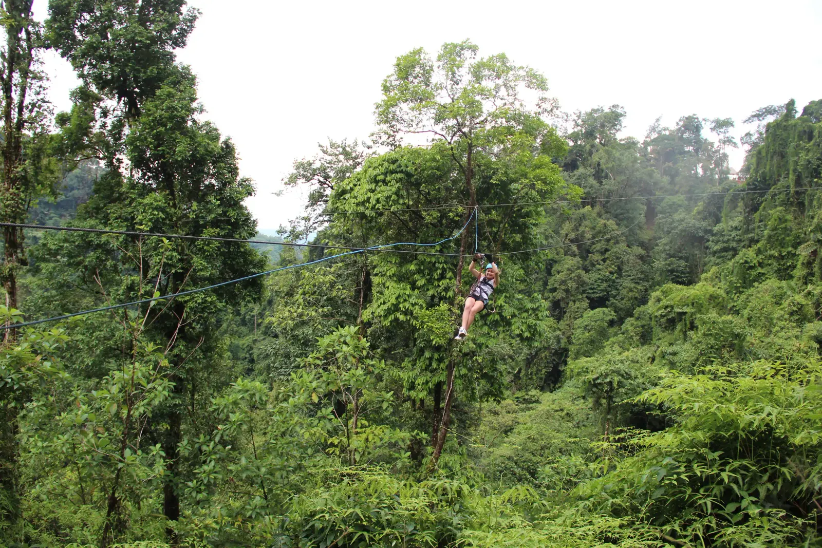 Persona cruzando un cable de canopy muy por encima del bosque lluvioso