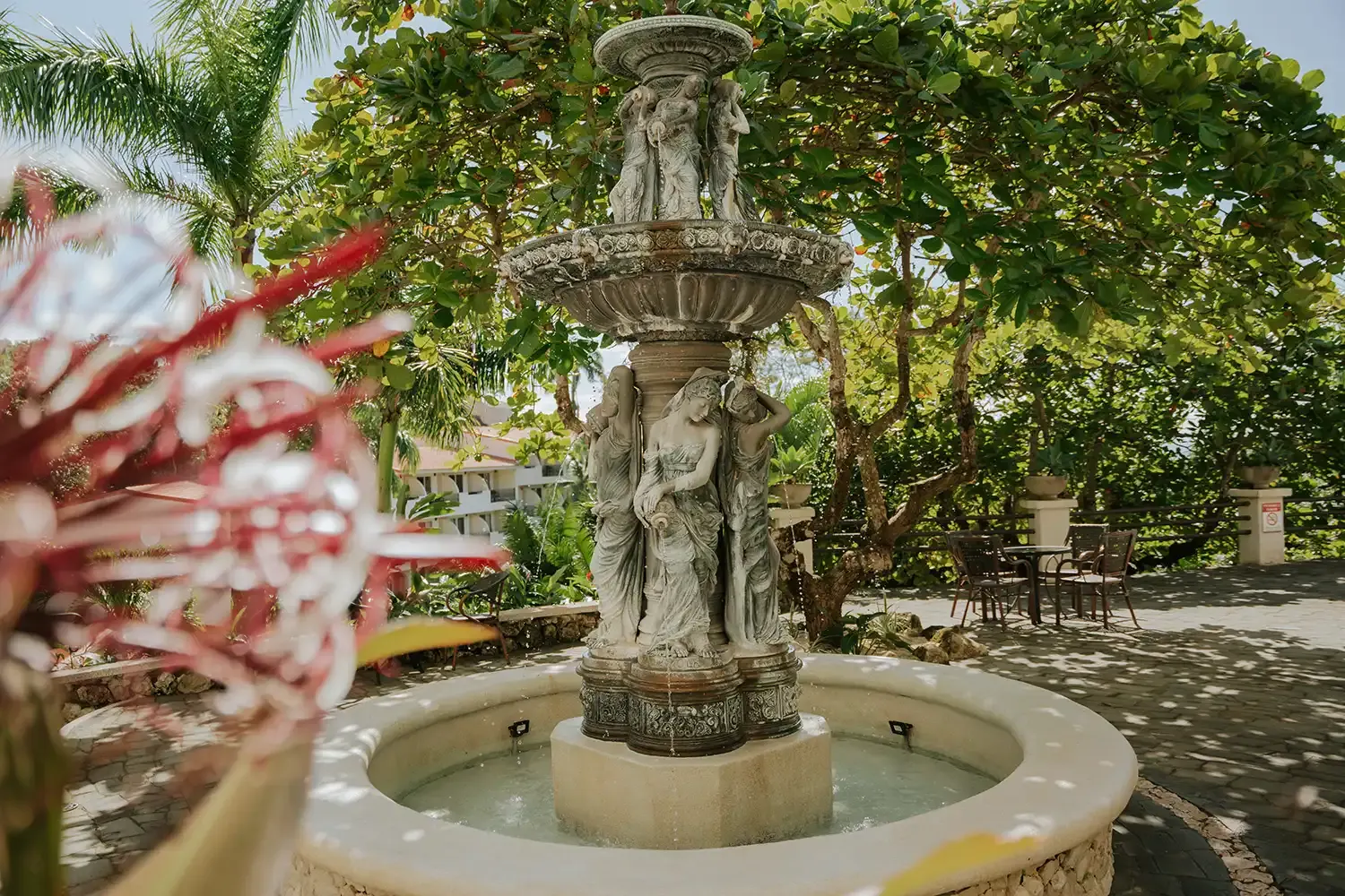 jardín tropical en Parador Nature Resort, Manuel Antonio
