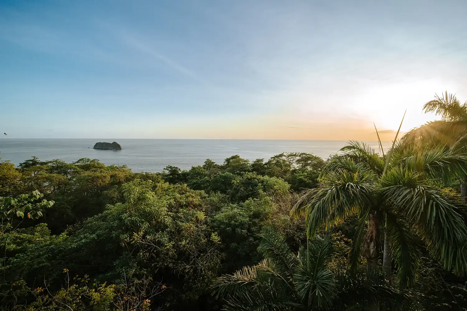 jardín tropical en Parador Nature Resort, Manuel Antonio