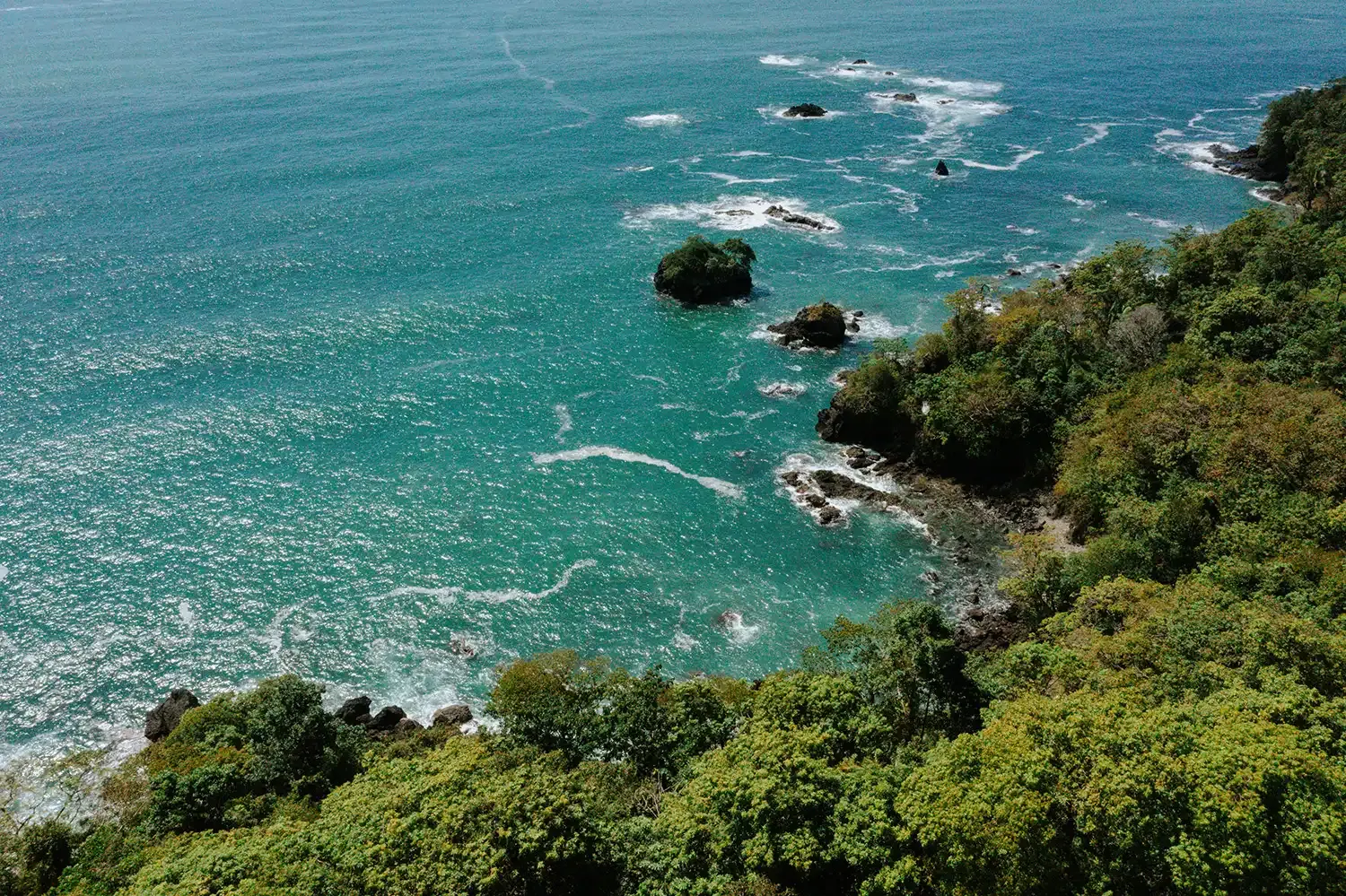 jardín tropical en Parador Nature Resort, Manuel Antonio