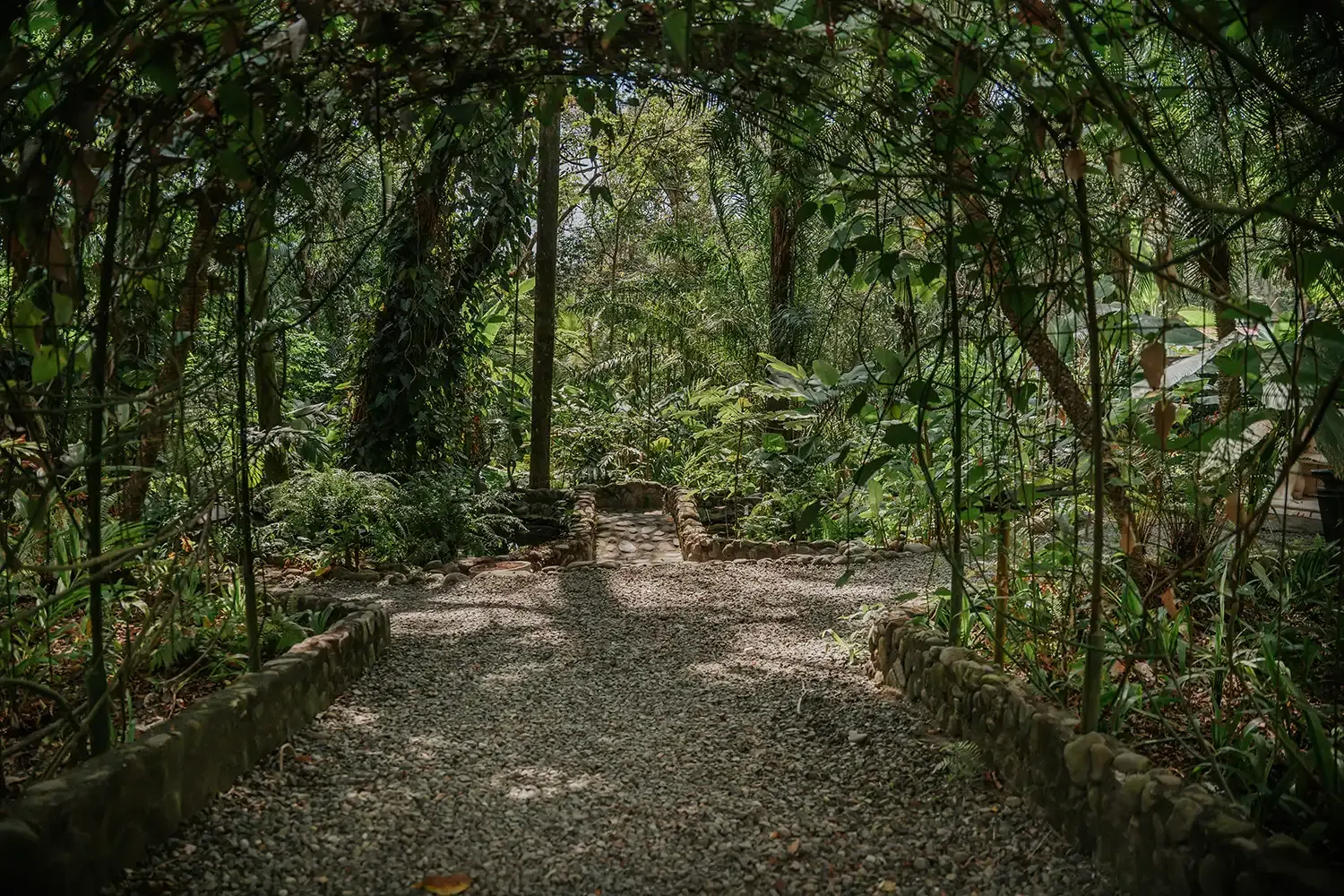 jardín tropical en Parador Nature Resort, Manuel Antonio
