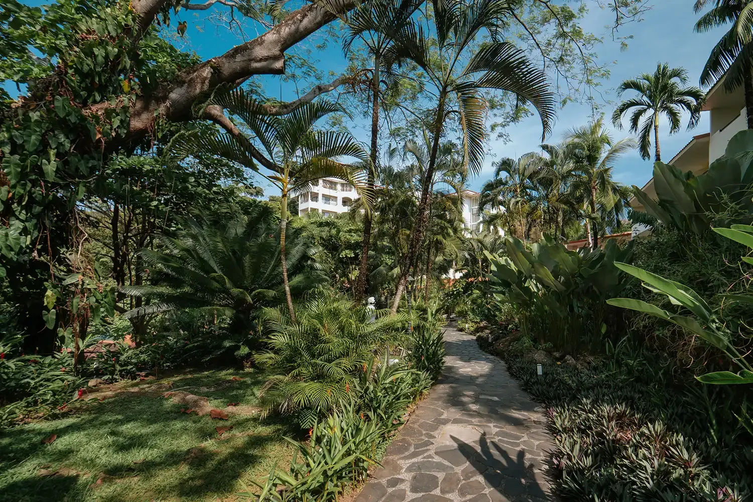 jardín tropical en Parador Nature Resort, Manuel Antonio