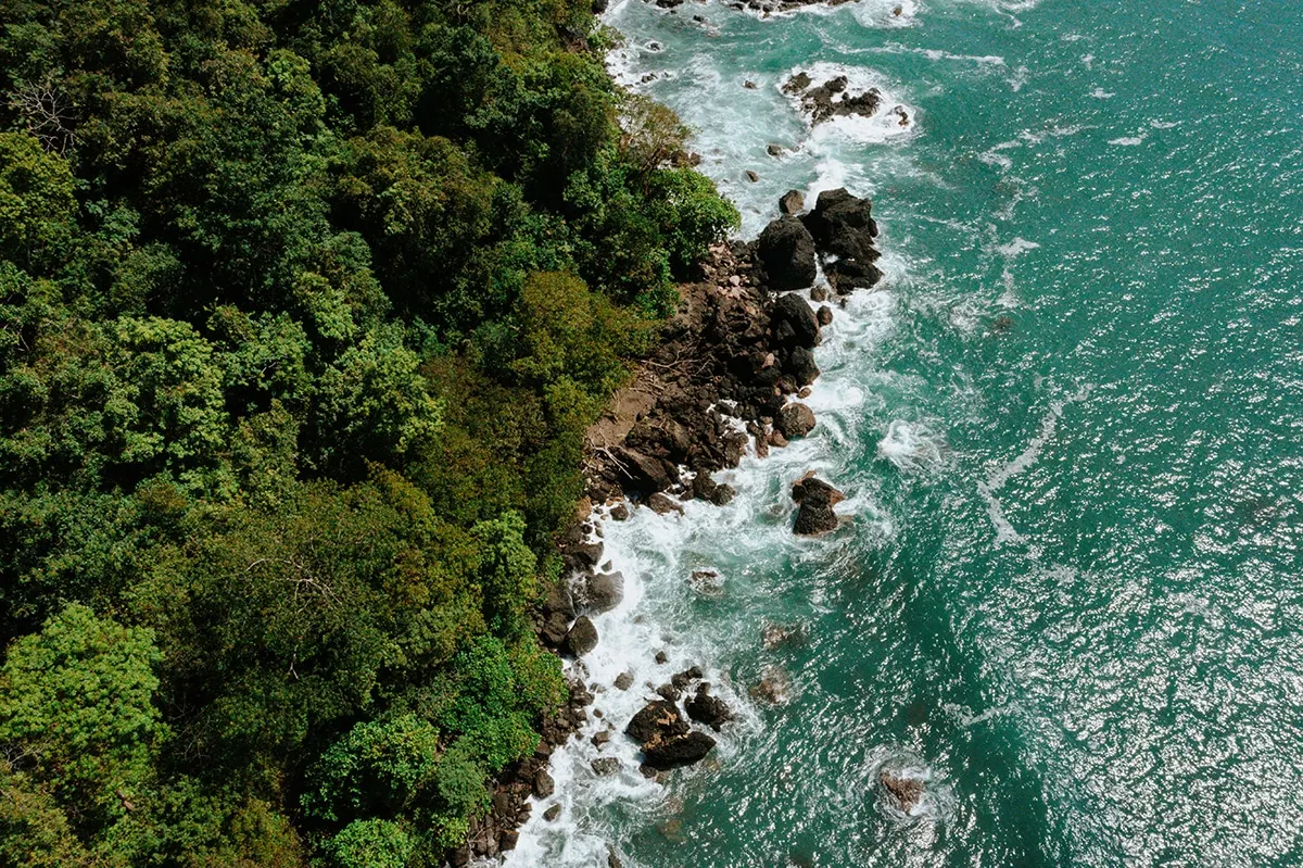 Aerial view of rainforest meeting the Pacific along a rocky shoreline