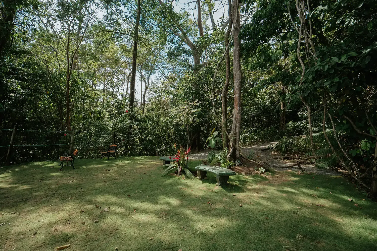 jardín tropical en Parador Nature Resort, Manuel Antonio