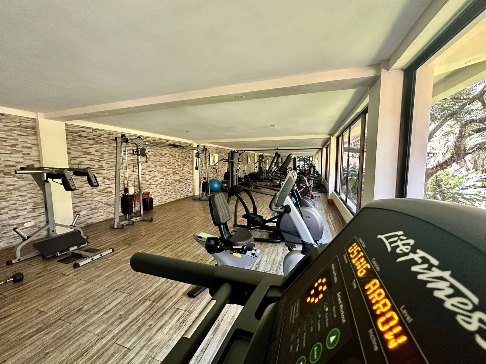 Gimnasio