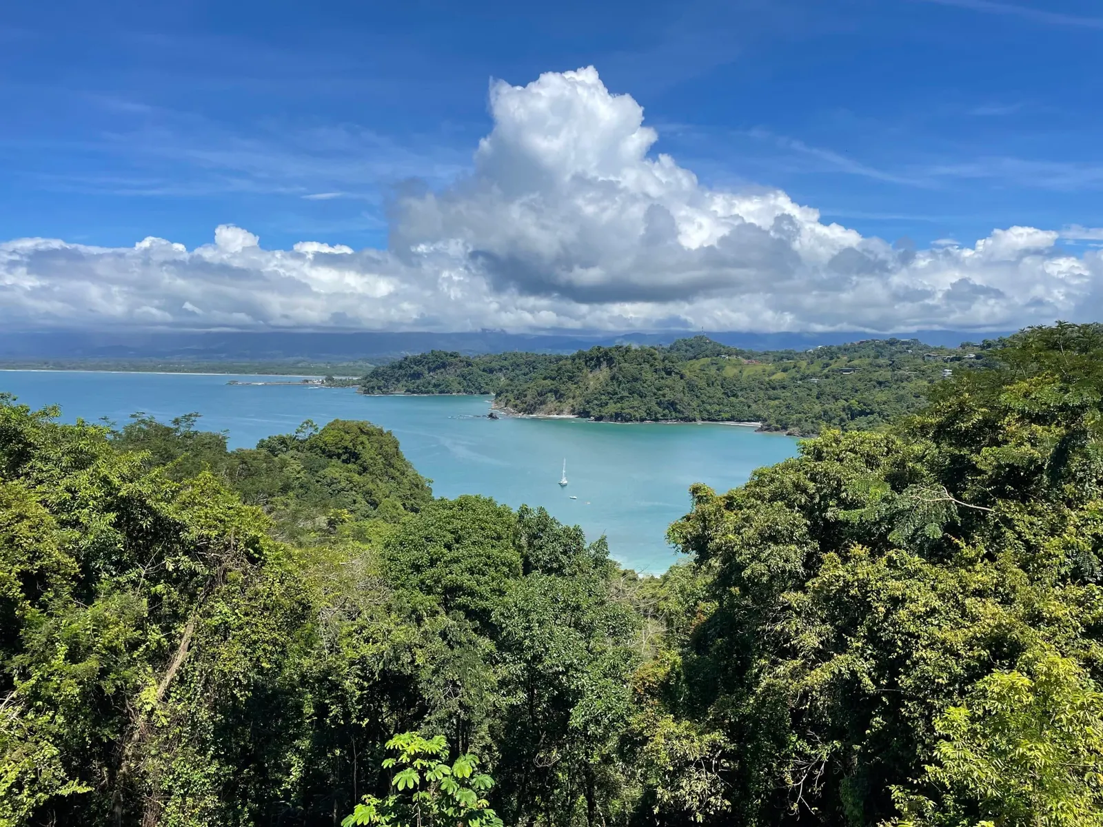 Dosel del bosque tropical sobre una bahía turquesa en la costa de Manuel Antonio