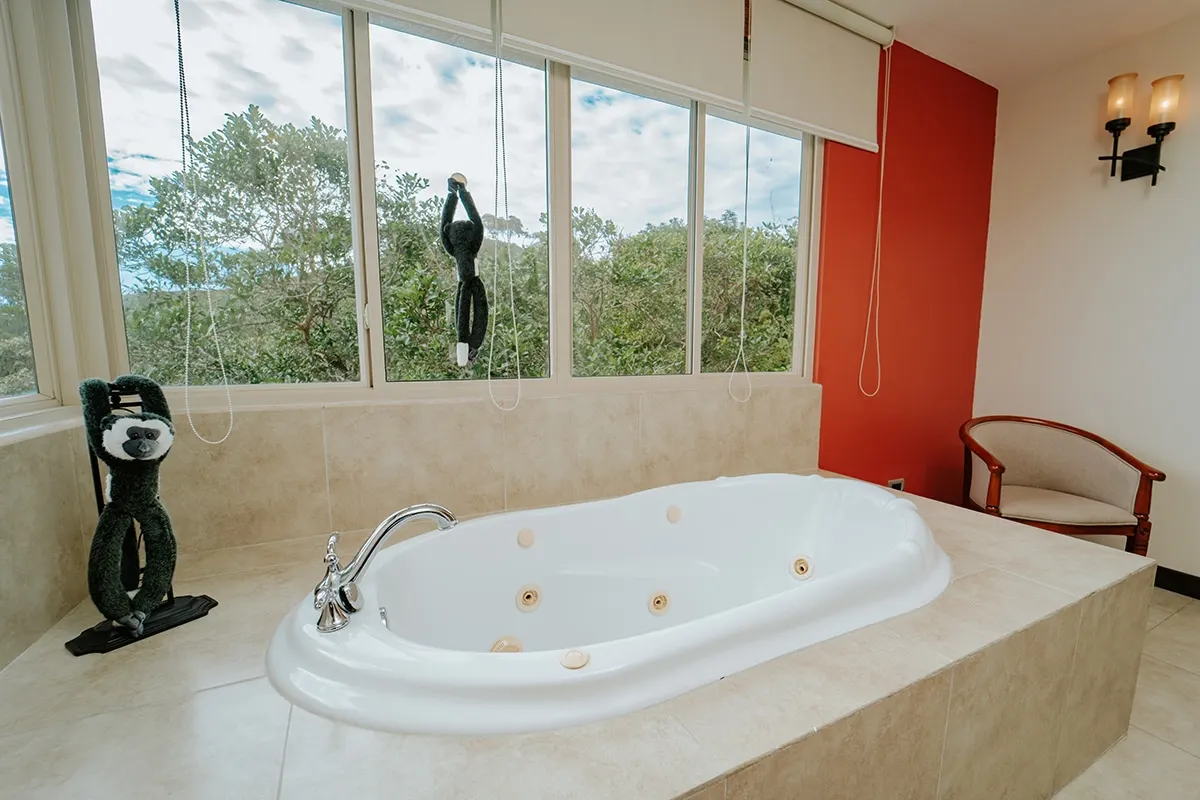 Vista Master Suite, photo 25 of 36