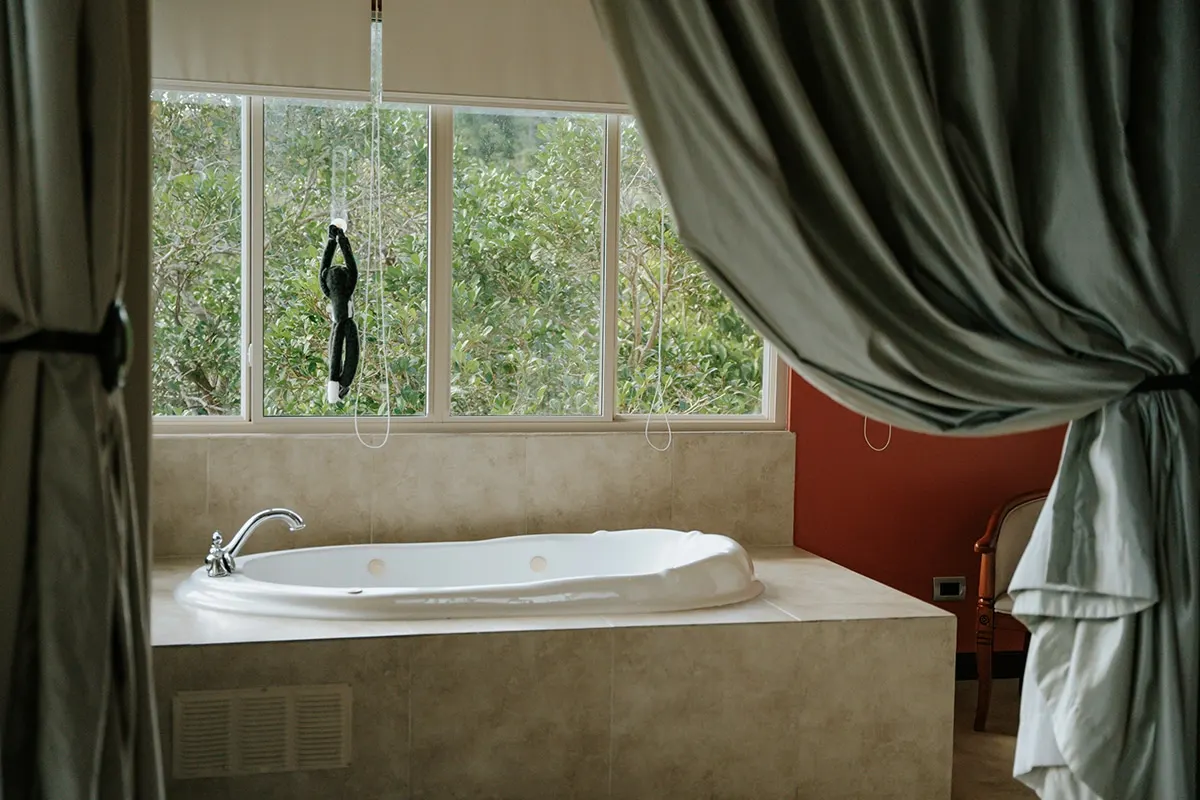 Vista Master Suite, photo 24 of 36