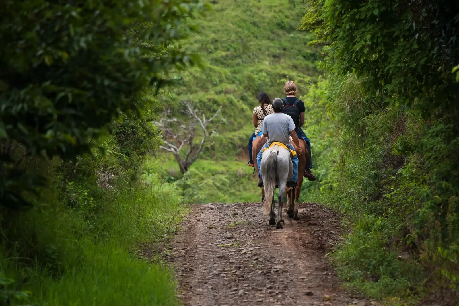 Dos jinetes subiendo a caballo por un camino de tierra entre colinas verdes