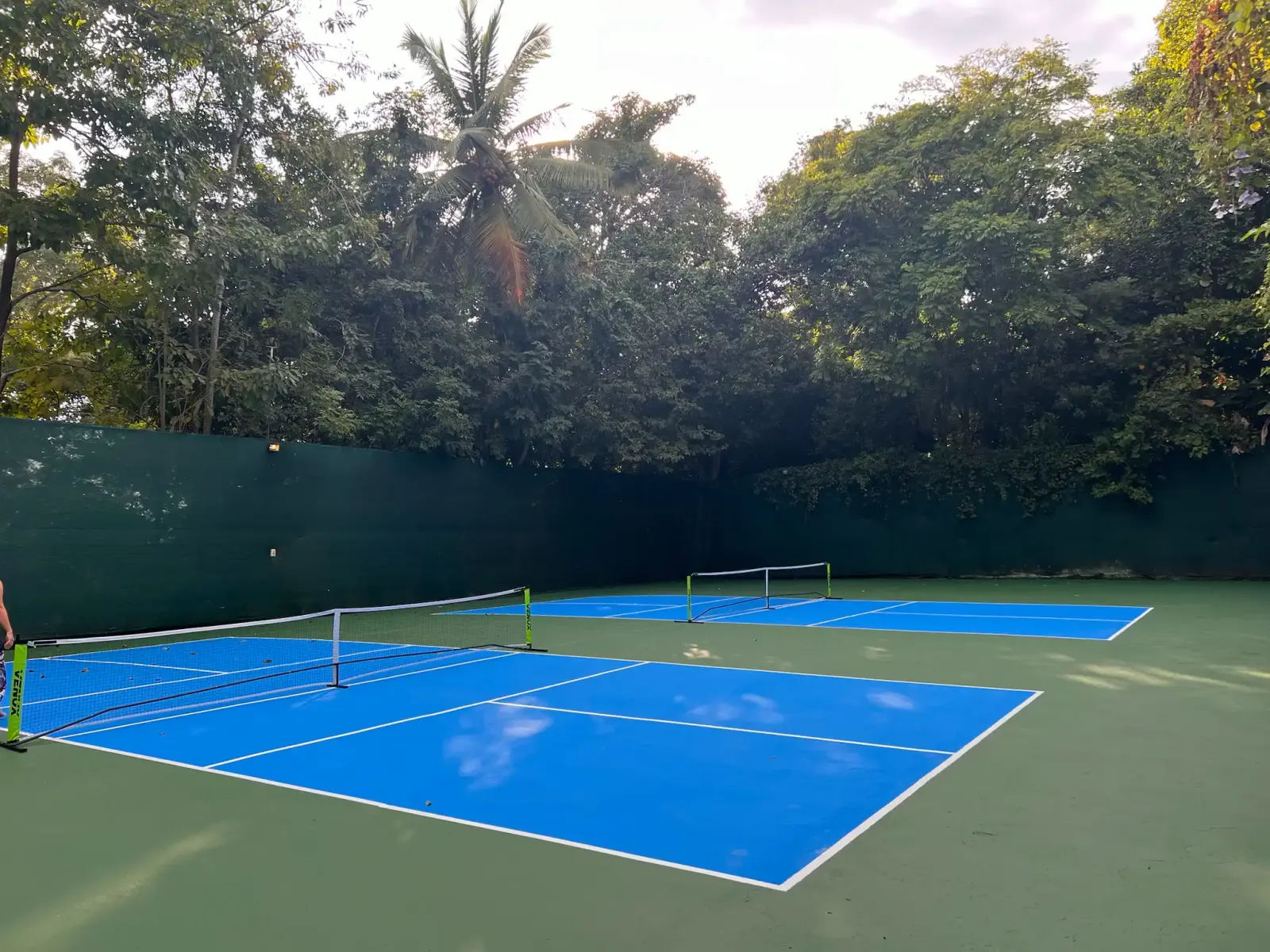 Pickleball Cours