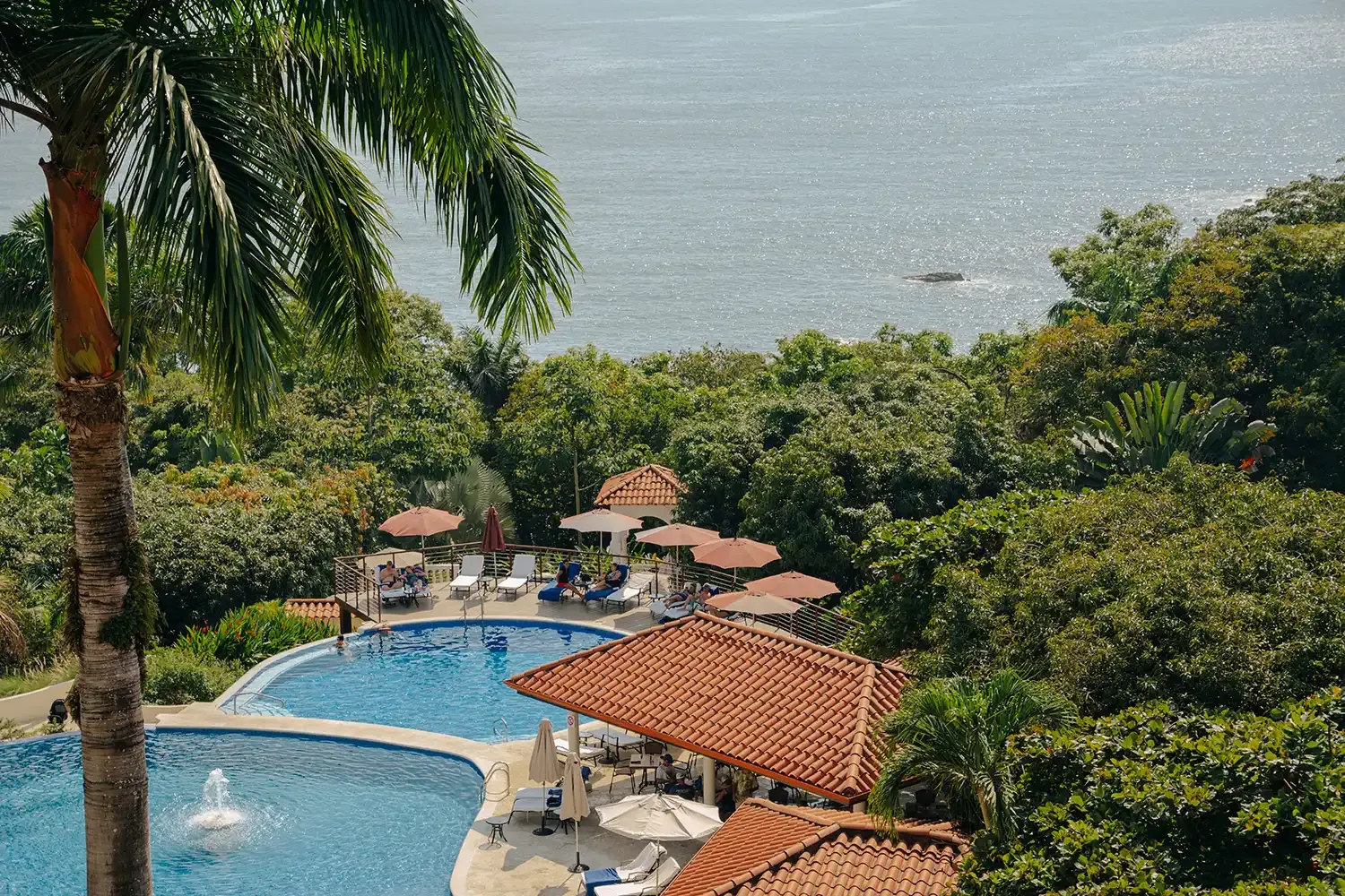 Piscina en Parador Nature Resort, Manuel Antonio