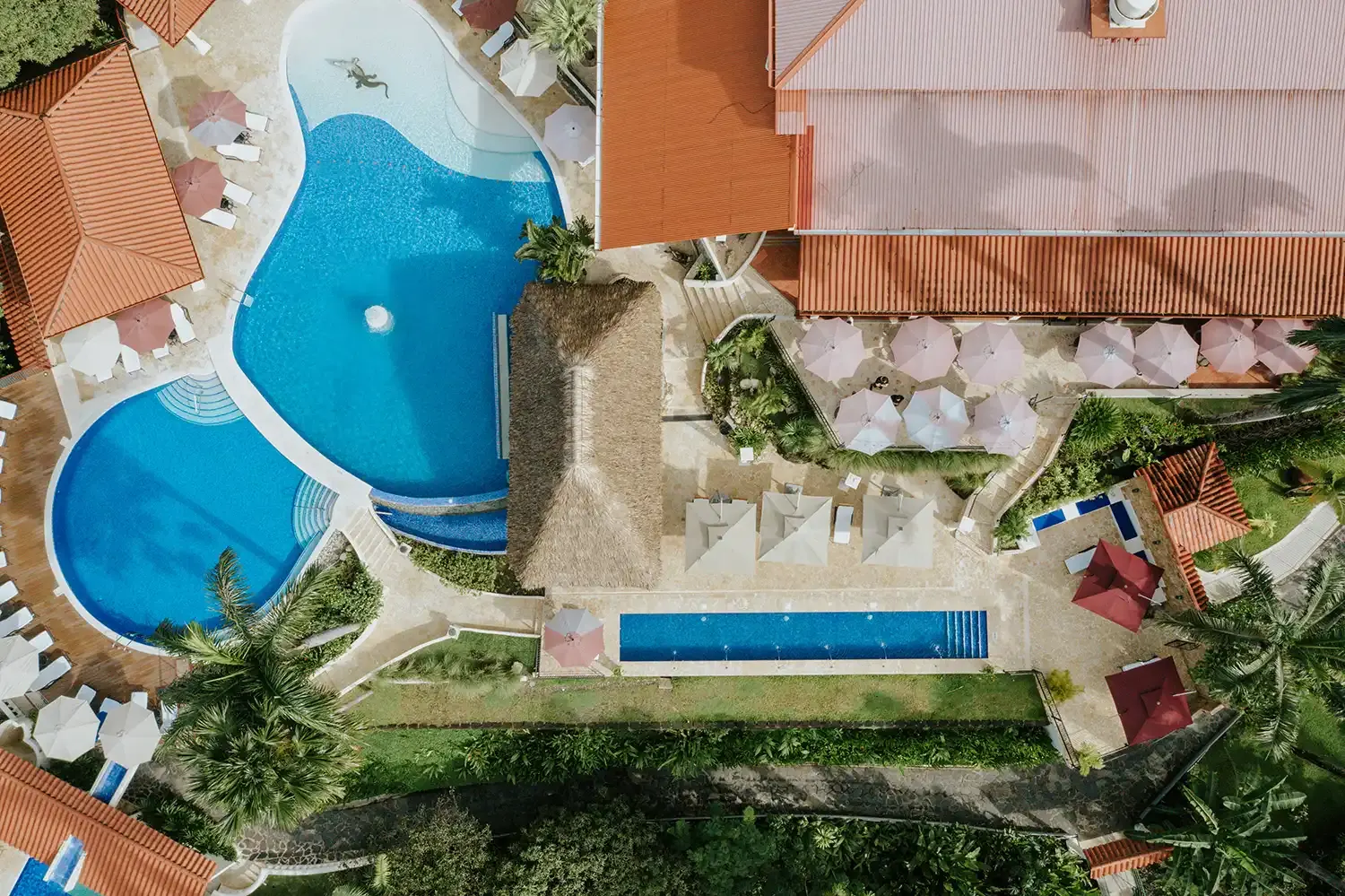 Piscina en Parador Nature Resort, Manuel Antonio