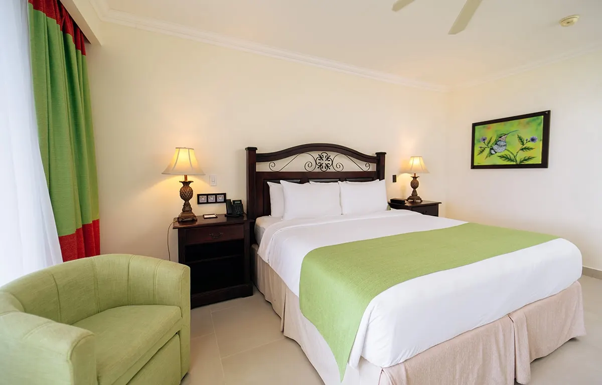 Premium Plus, photo 9 of 20