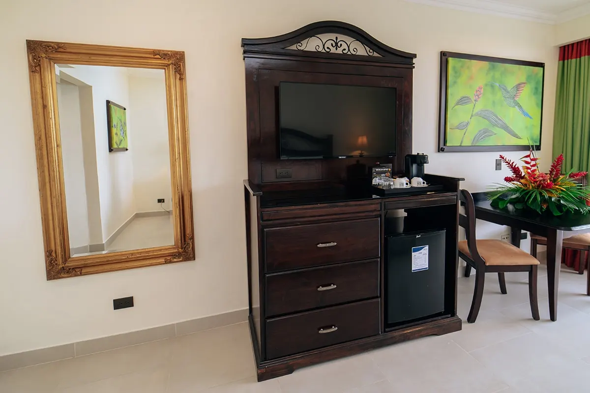 Premium Room, photo 5 of 9