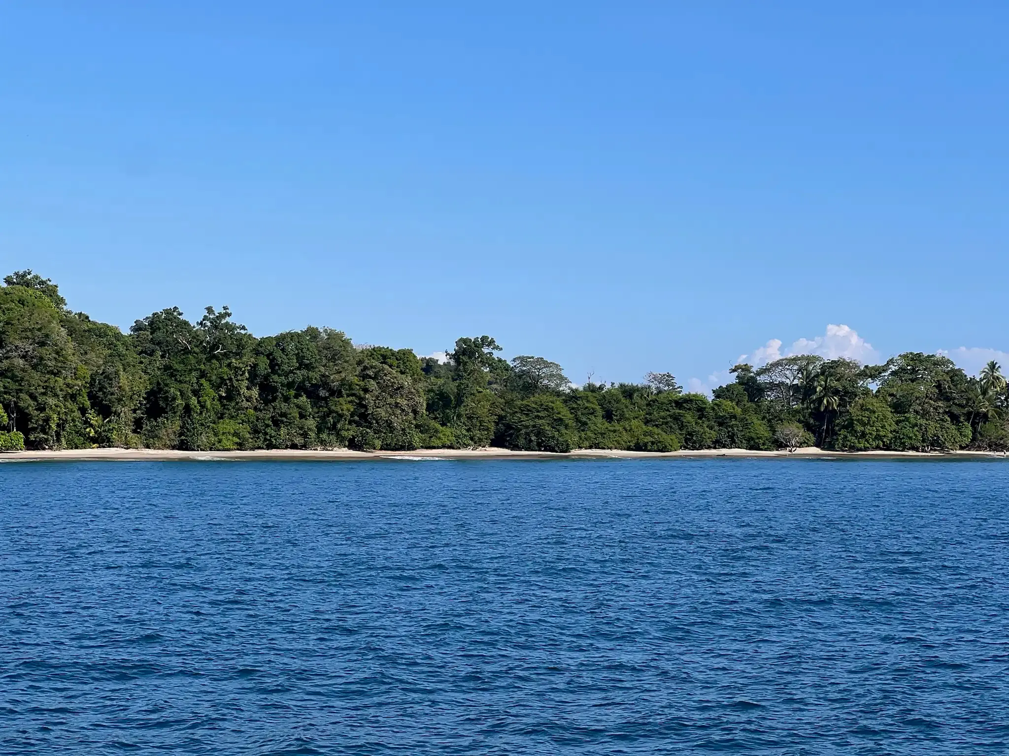 Vuelto Loco, tours privados costeros, cerca de la costa y mar adentro