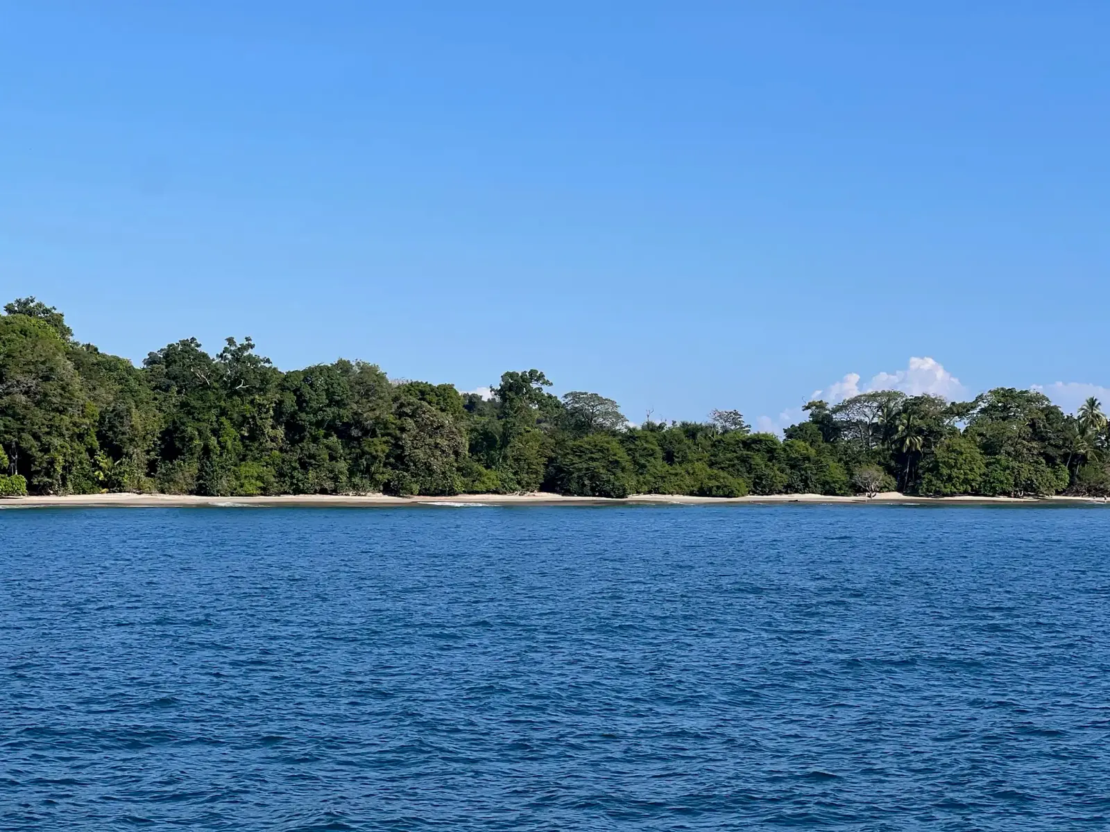 Calm blue water in front of a low forested shoreline under a clear sky