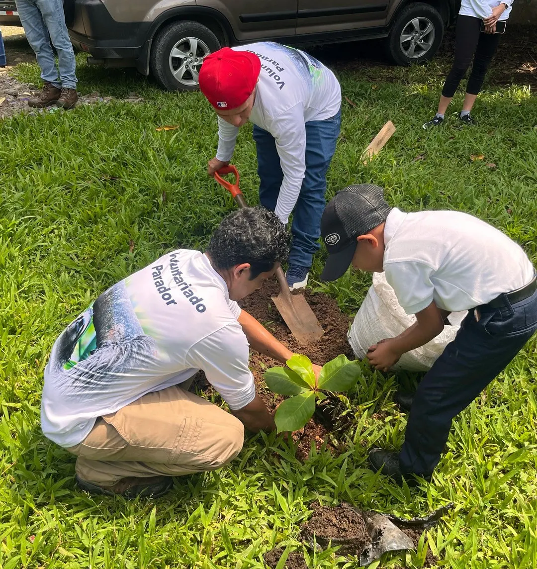 Parador volunteers planting a tree seedling