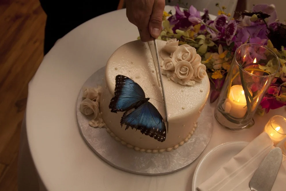 Vista desde arriba de una mano que corta un pastel de bodas redondo y blanco decorado con rosas de azúcar y una mariposa morpho azul.
