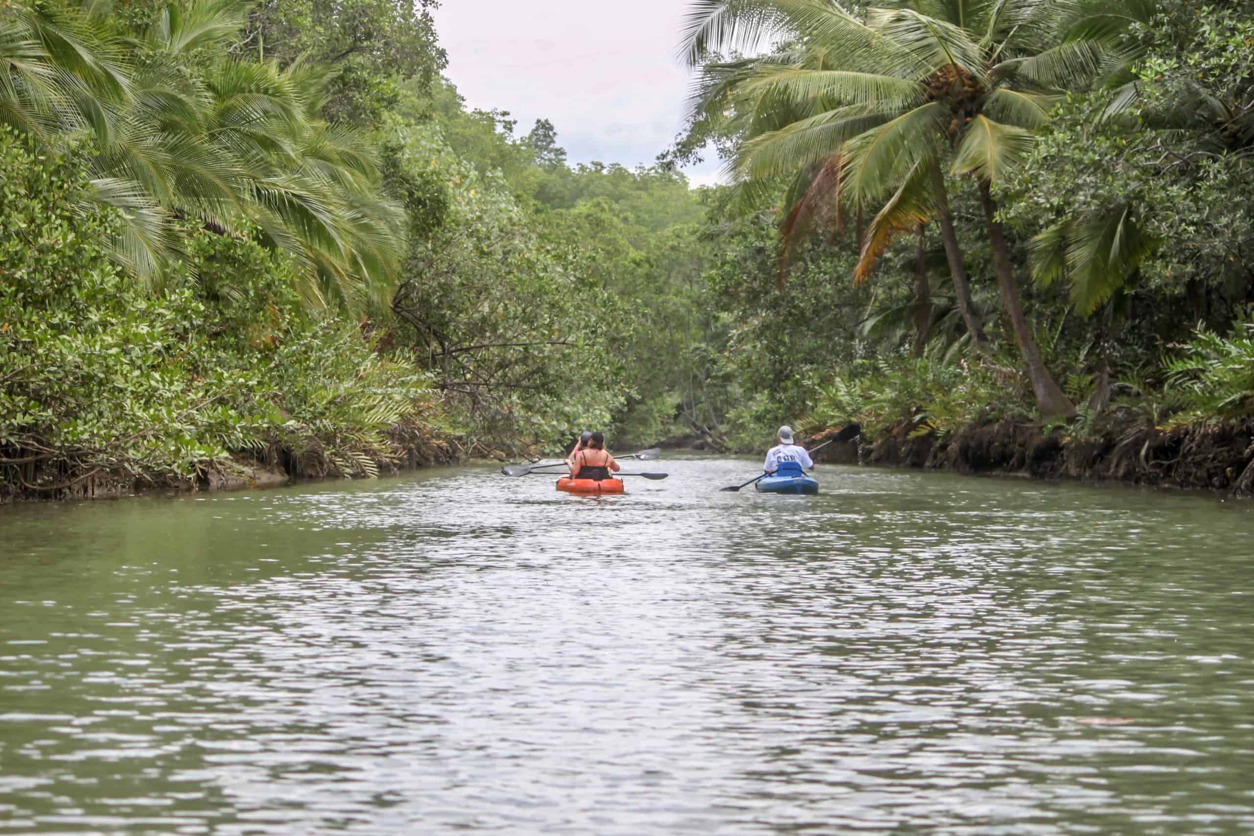 Kayaing the Isla Damas Mangroves