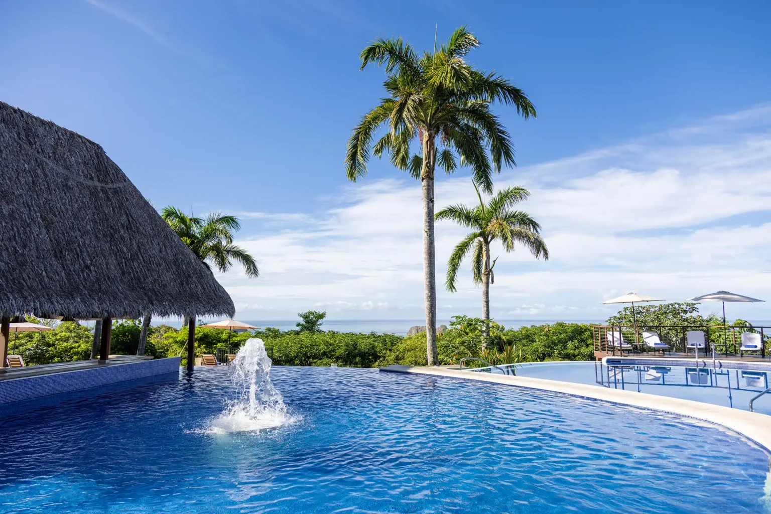 Infinity pool with a fountain and thatched-roof swim-up bar