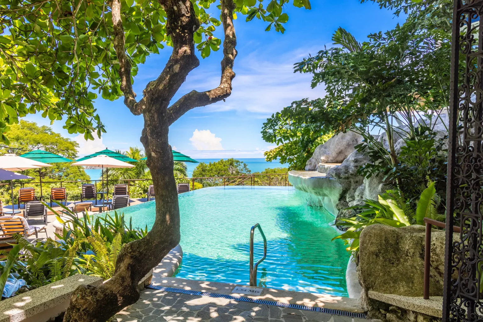 Pool with a rock waterfall shaded by rainforest trees
