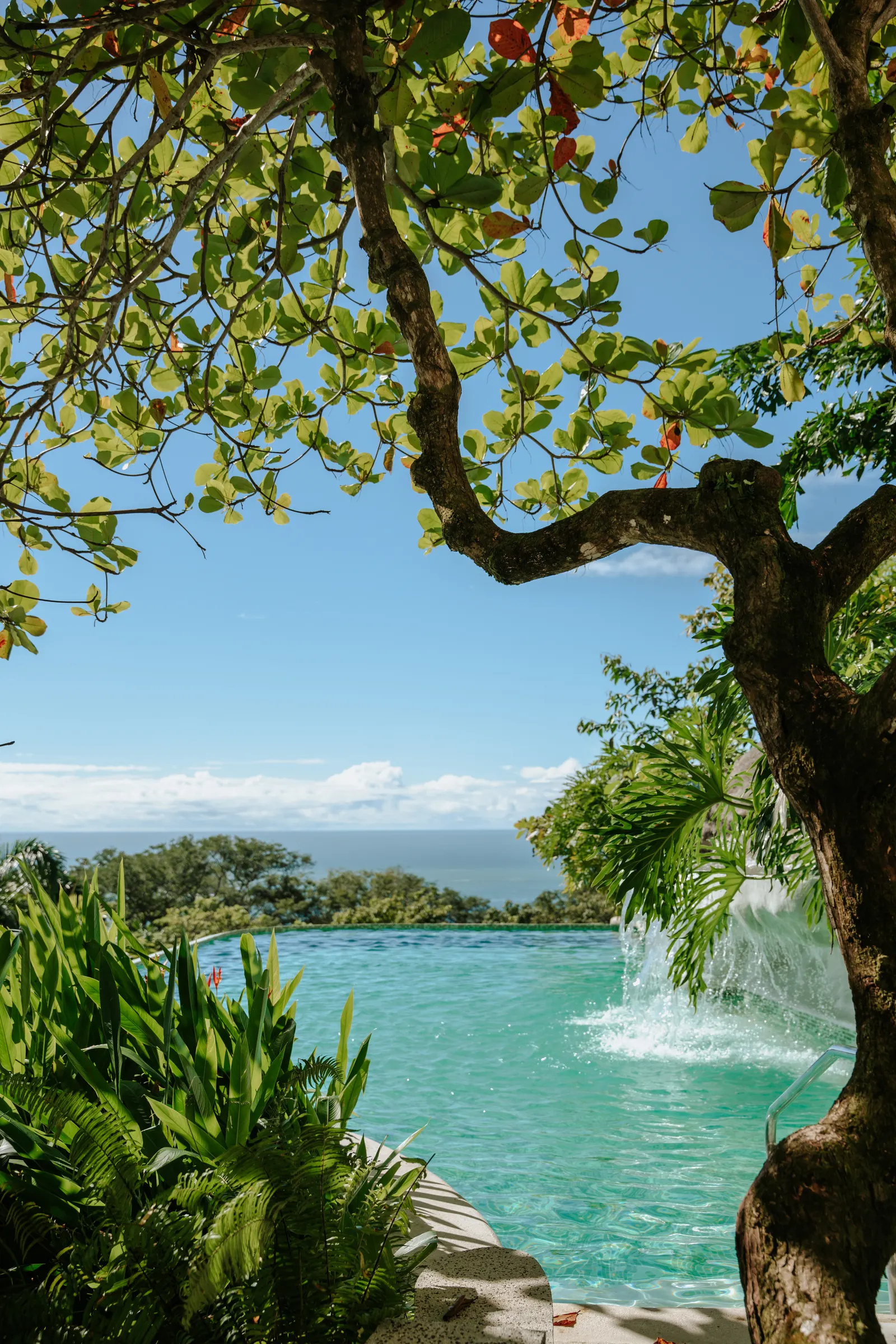 An infinity pool and waterfall feature seen through overhanging tree branches, with the ocean on the horizon.