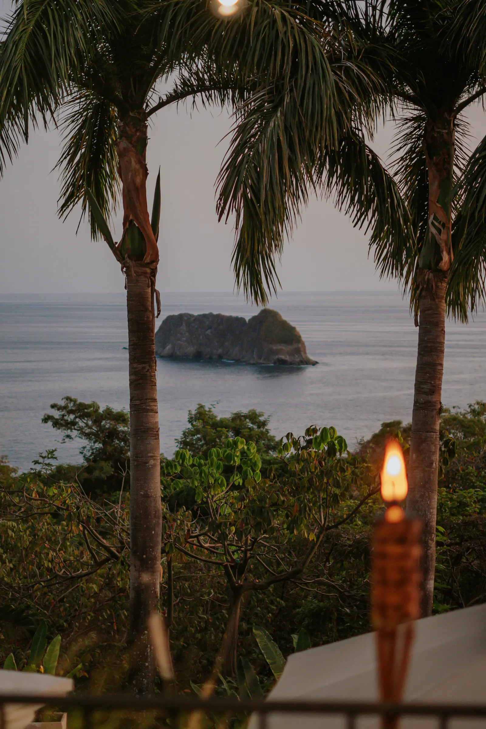 An ocean view framed by two palm trees at dusk, with a lit tiki torch in the foreground.