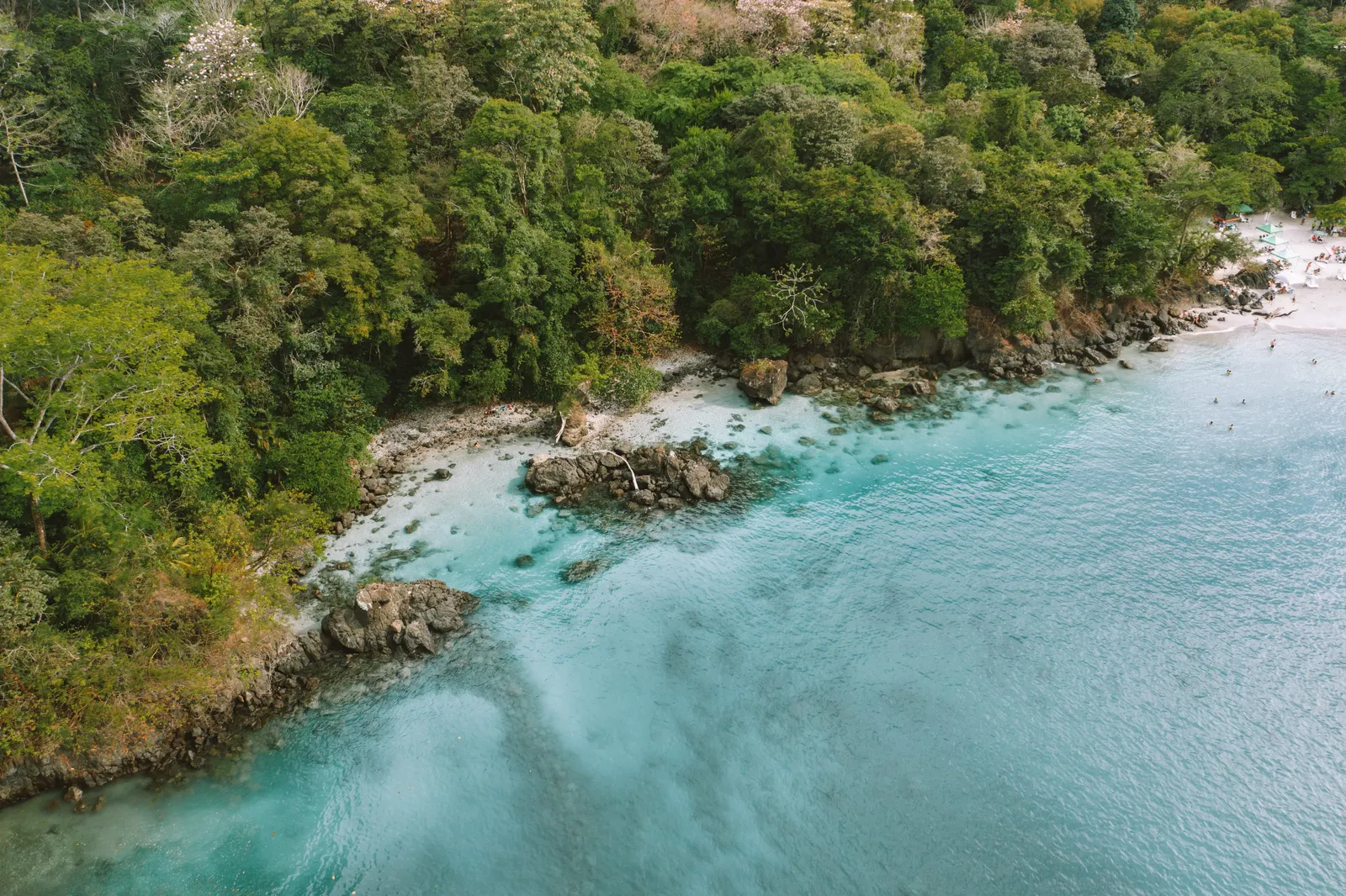 An aerial view of a forested rocky point meeting turquoise water at Biesanz Beach.