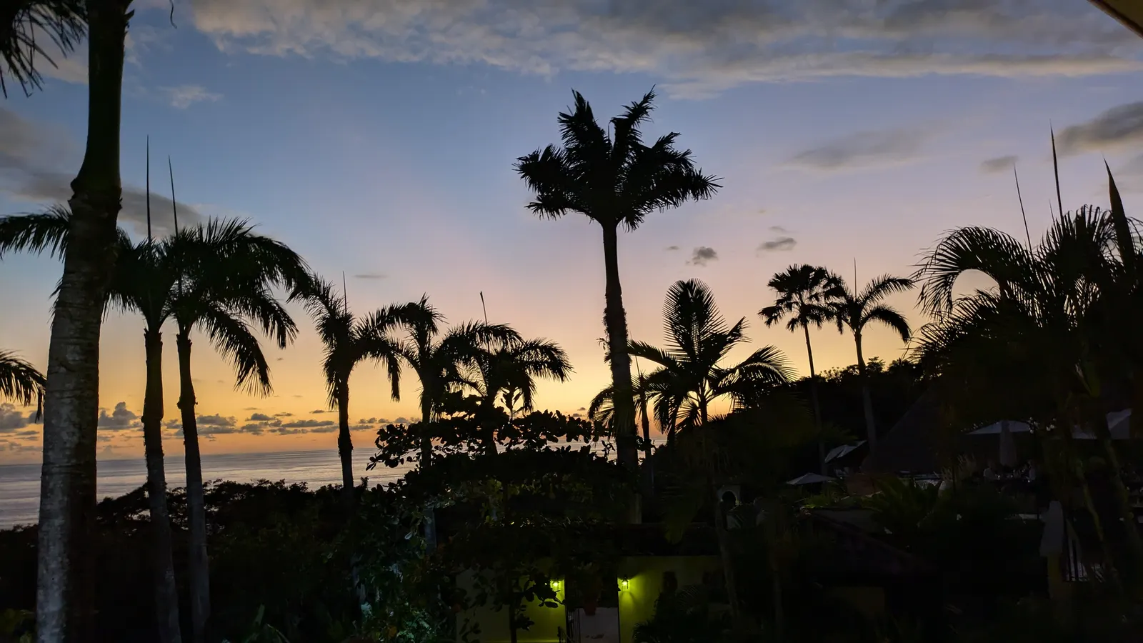 Palm trees silhouetted against an orange and blue sunset sky over the ocean.